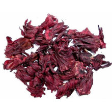 Dry hibiscus flower from Egypt
